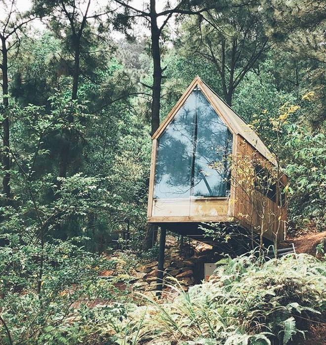  Mẫu nhà gỗ mini đẹp của homestay Nhà Bên Rừng U Lesa